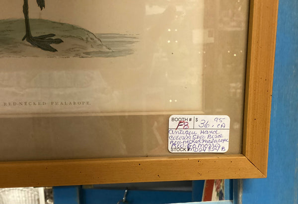 Framed Rev. F.O. Morris Hand Colored Engraved Shore Bird Print