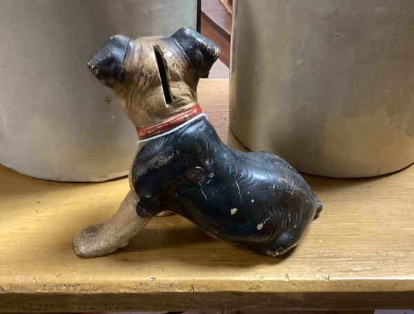 Painted Cast Iron Boston Terrier Coin Bank