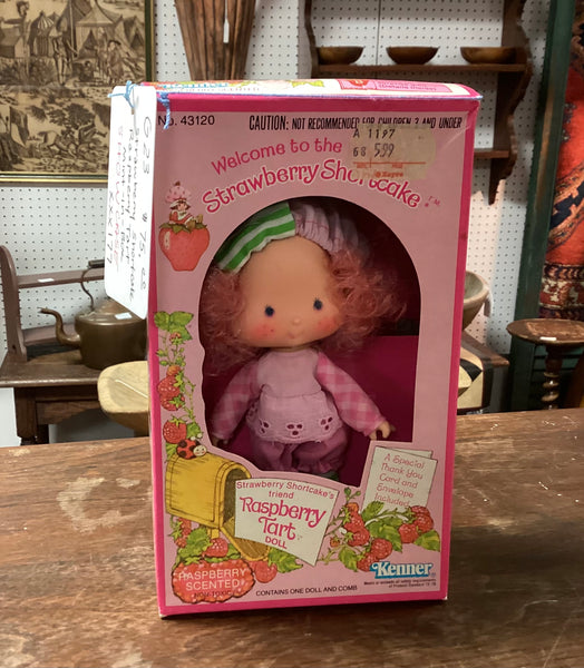 Strawberry Shortcake Friend Doll -  Raspberry Tart Mint in Box