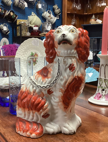 Staffordshire Red & White Spaniel Dog