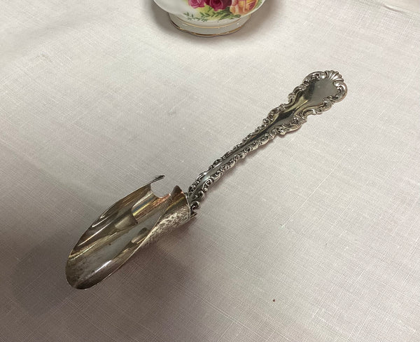Whiting Sterling Silver Louis XV  Soft Cheese Scoop